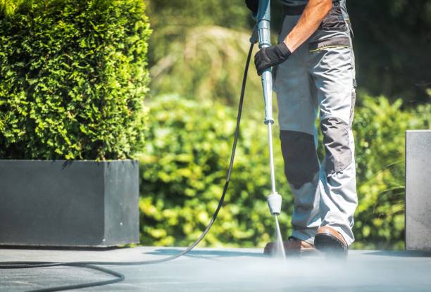 Best Warehouse Cleaning  in Bellwood, PA